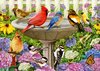 At the Birdbath - Puzzel (500XL)