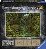Escape Puzzel: Het Tempelcomplex (759)