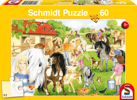 Plezier op de Ponyboerderij - Puzzel (60)