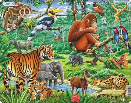 Puzzel LARSEN: In de Jungle (20)