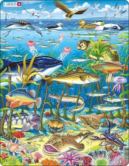 Puzzel LARSEN: Zeedieren in de Noord-Atlantische Oceaan (60)