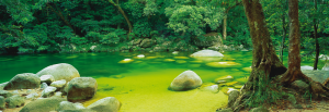 Mossman Gorge, Queensland, Australia - Panorama Puzzel (1000)