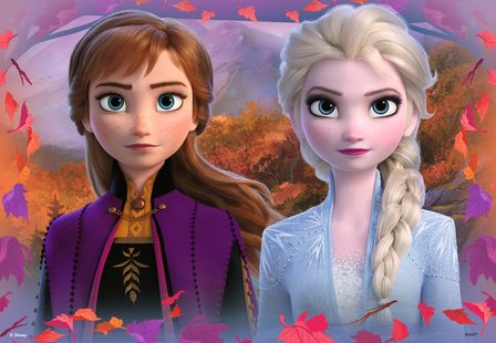 Frozen: Reis naar het Onbekende - Puzzel (2x12)