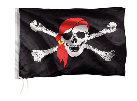 In de Piratenbaai - Puzzel (100)