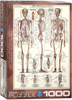 The Skeletal System - Puzzel (1000)