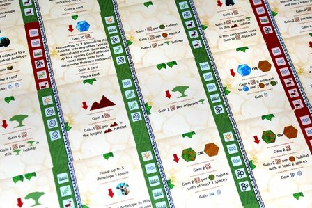 Ecos: First Continent