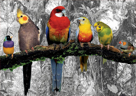 Birds on the Jungle - Puzzel (500)