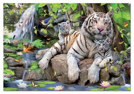 White Tigers of Bengal - Puzzel (1000)