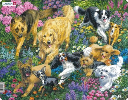 Puzzel LARSEN: Honden in een veld met bloemen (32)