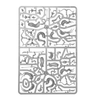 Warhammer: Age of Sigmar - Daughters of Khaine Melusai (Blood Sisters/Blood Stalkers)