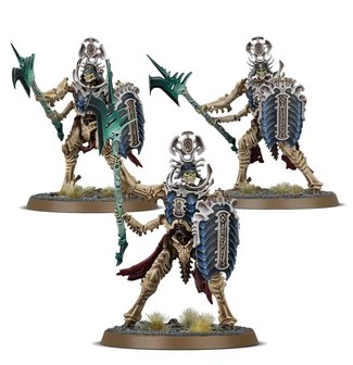 Warhammer: Age of Sigmar - Ossiarch Bonereapers: Necropolis Stalkers