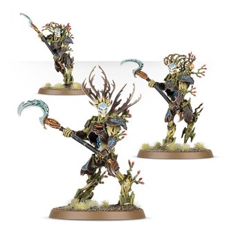 Warhammer: Age of Sigmar - Sylvaneth: Kurnoth Hunters