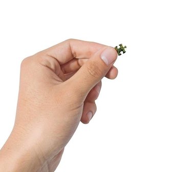 World&#039;s Smallest Jigsaw Puzzle (1000)