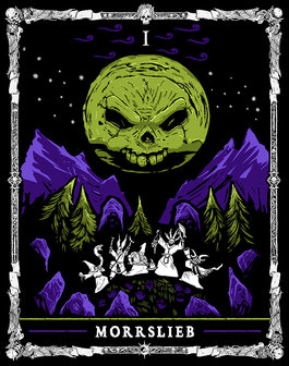 Warhammer Fantasy RPG: Enemy in Shadows [COLLECTOR&#039;S EDITION]