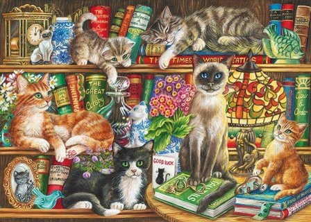 Puss in Books - Puzzel (1000)