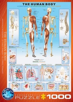 The Human Body - Puzzel (1000)