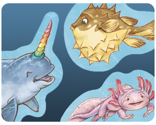 Promo Dive: Axolotl, Fugu, Narwhal