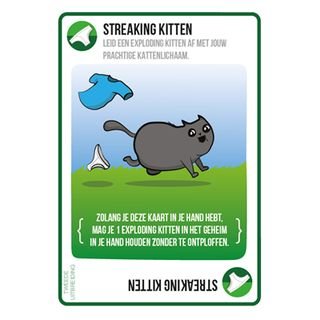 Exploding Kittens: Streaking Kittens [Nederlandse versie]