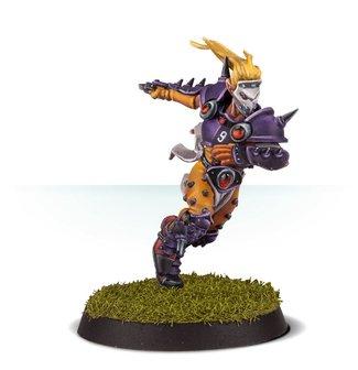 Blood Bowl: The Elfheim Eagles (Elven Union Blood Bowl Team)