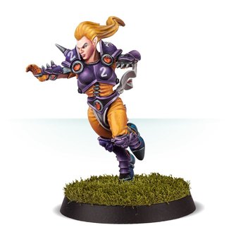 Blood Bowl: The Elfheim Eagles (Elven Union Blood Bowl Team)