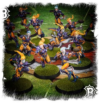 Blood Bowl: The Elfheim Eagles (Elven Union Blood Bowl Team)