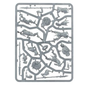 Warhammer: Age of Sigmar - Orruk Warclans Gutrippaz + Paints Set