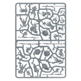 Warhammer: Age of Sigmar - Harbinger Starter Set