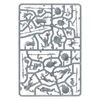 Warhammer: Age of Sigmar - Harbinger Starter Set