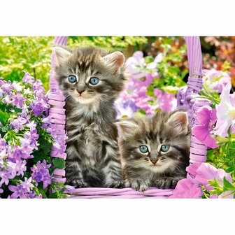 Kittens in summer garden - Puzzel (1000)
