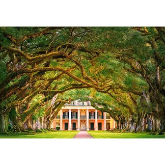 Oak Alley Plantation - Puzzel (1000)