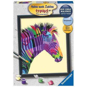Schilderen op nummer: Bonte Zebra