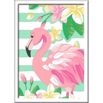 Schilderen op nummer: Flamingo