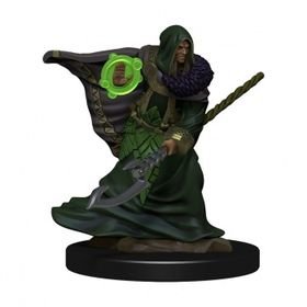D&amp;D Icons of the Realms: Elf Druid Male (Premium Pre-Painted Miniature)