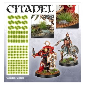 Verdia Veldt Tufts (Citadel)