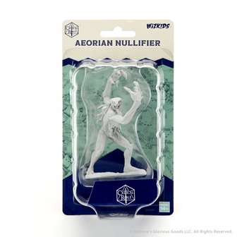 Critical Role Unpainted Miniatures: W1 Aeorian Nullifier