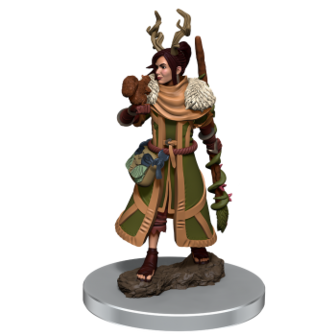 D&amp;D Icons of the Realms: Human Druid Female (Premium Pre-Painted Miniature)