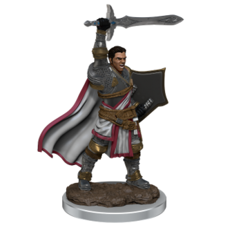 D&amp;D Icons of the Realms: Human Paladin Male (Premium Pre-Painted Miniature)