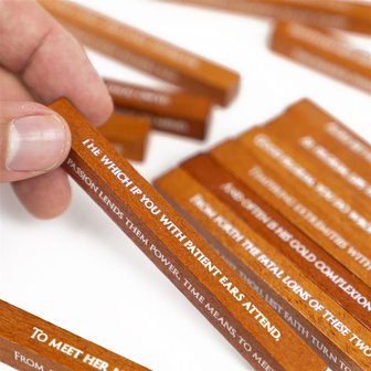 Great Minds: Shakespeare&#039;s Sonnet Puzzle