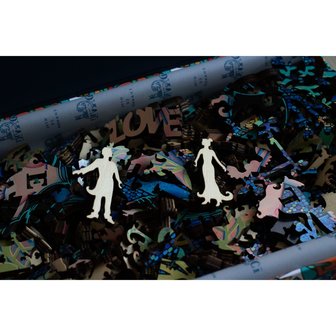 Aantrekkingskracht  - Houten Puzzel DaVICI (240)