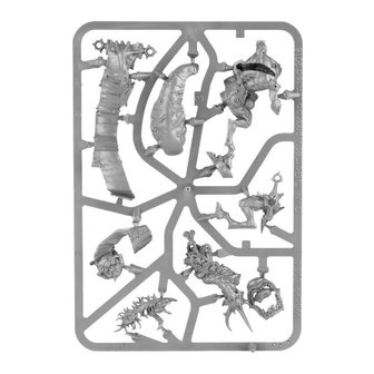 Warhammer: Age of Sigmar - Vanguard: Maggotkin of Nurgle