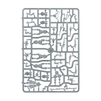 Warhammer: Age of Sigmar - Vanguard: Maggotkin of Nurgle