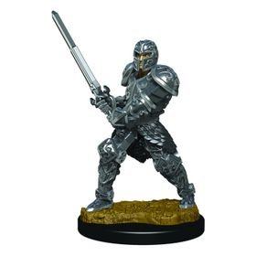 D&amp;D Icons of the Realms: Human Fighter Male (Premium Pre-Painted Miniature)