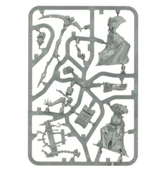 Warhammer: Age of Sigmar - Maggotkin of Nurgle: Rotbringer Sorcerer