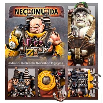 Necromunda: 'Jotunn' H-Grade Industrial Servitor Ogryns