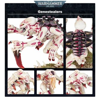 Warhammer 40,000 - Tyranids: Genestealers