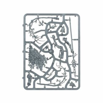 Warhammer: Age of Sigmar - Echoes of Doom