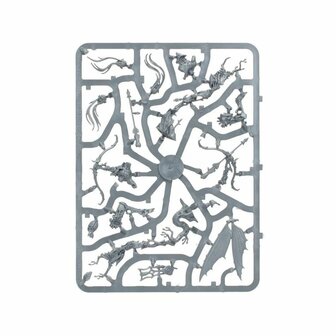 Warhammer: Age of Sigmar - Echoes of Doom