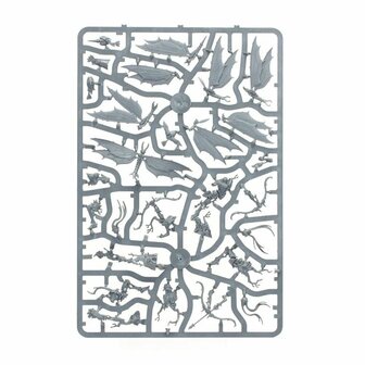 Warhammer: Age of Sigmar - Echoes of Doom