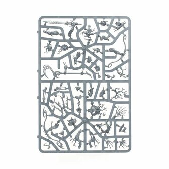 Warhammer: Age of Sigmar - Echoes of Doom