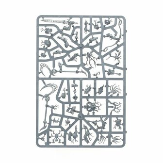 Warhammer: Age of Sigmar - Echoes of Doom